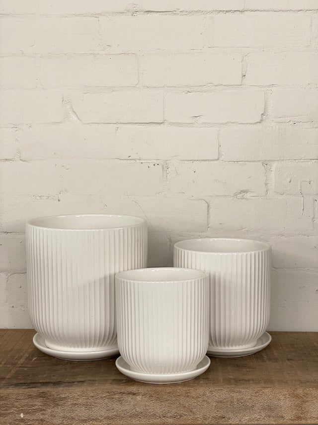 Table top pots & planters | The Borrowed Nursery